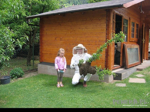 Dziewczynko a teraz patrz jak potrząsne